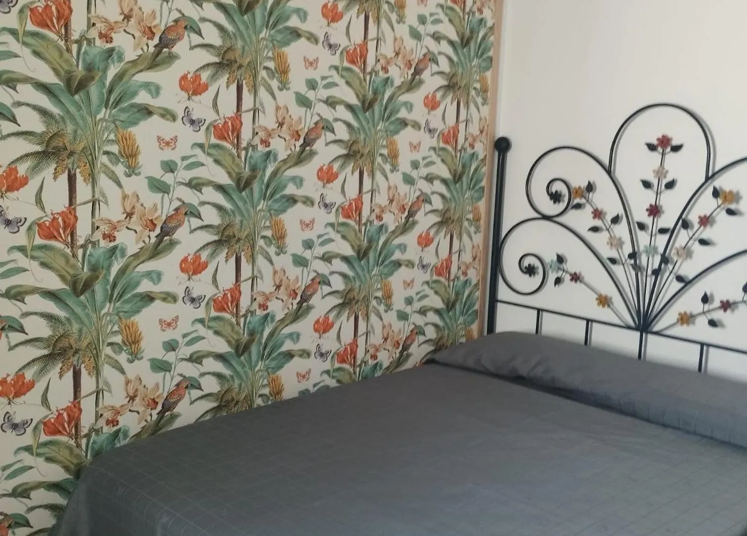 Homestay szállás Cervantes Rooms Cádiz Spanyolország